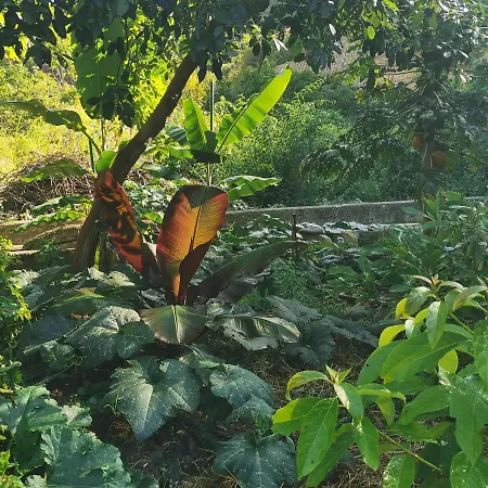 Eco In Paradise Valley Azuaje
