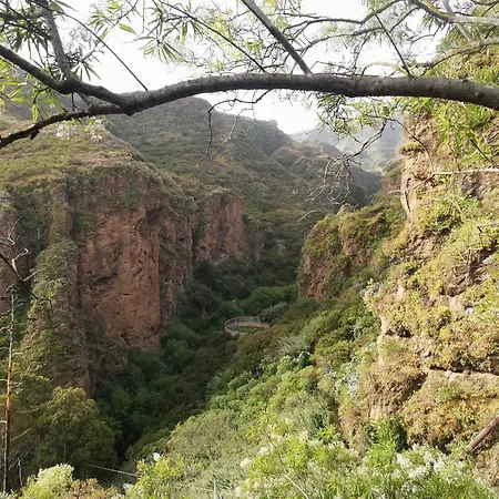 Eco In Paradise Valley Azuaje * Firgas